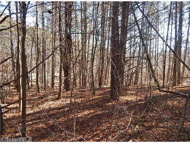 21.275-ac Huffines Mill Road Reidsville, NC 27320 - Photo 7 of 8 Land.