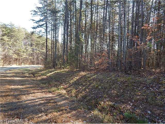 21.275-ac Huffines Mill Road Reidsville, NC 27320 - Photo 8 of 8 Land.