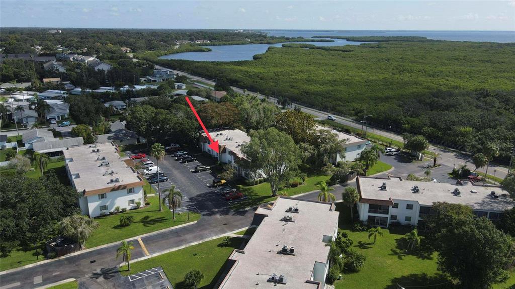241 South McMullen Booth Road, Unit 34 Clearwater, FL 33759 - Photo 29 of 30
