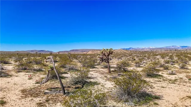 a view of city and mountain