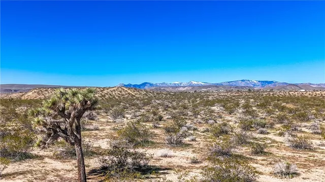 a view of city and mountain