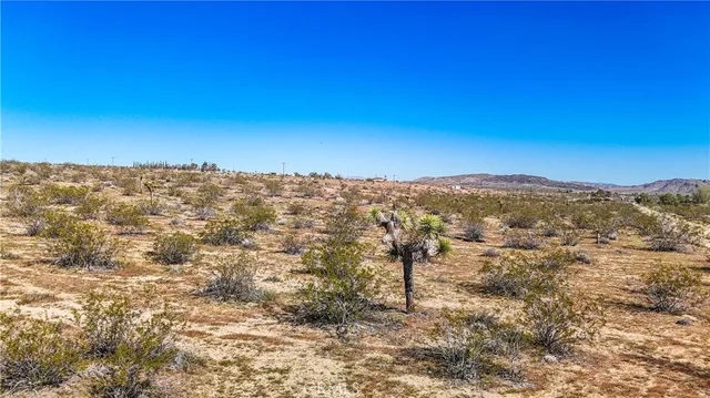 a view of city with ocean