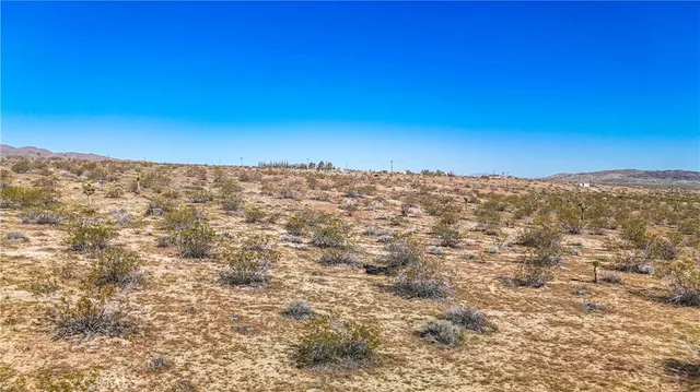 a view of city with ocean