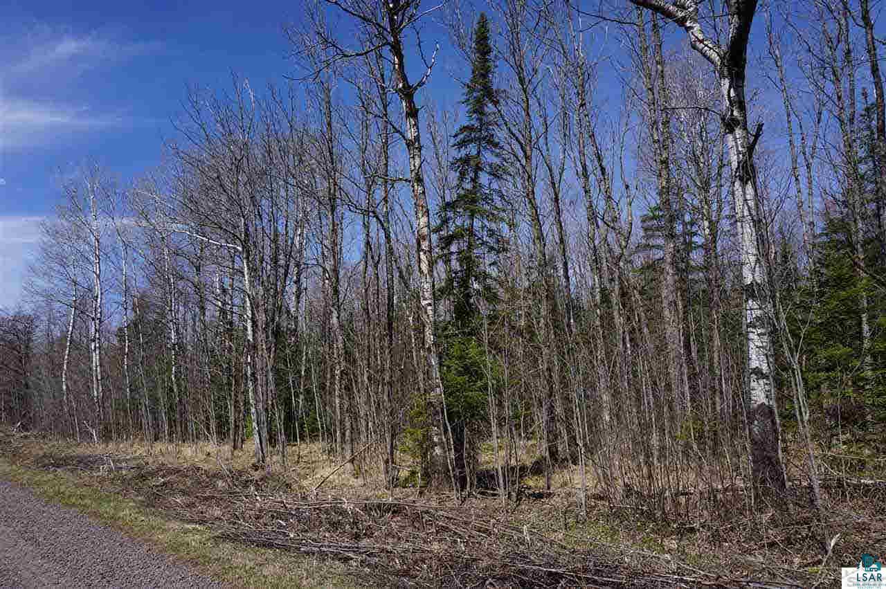 7029 Bayfield Road South Range, WI 54874 - Photo 4 of 25