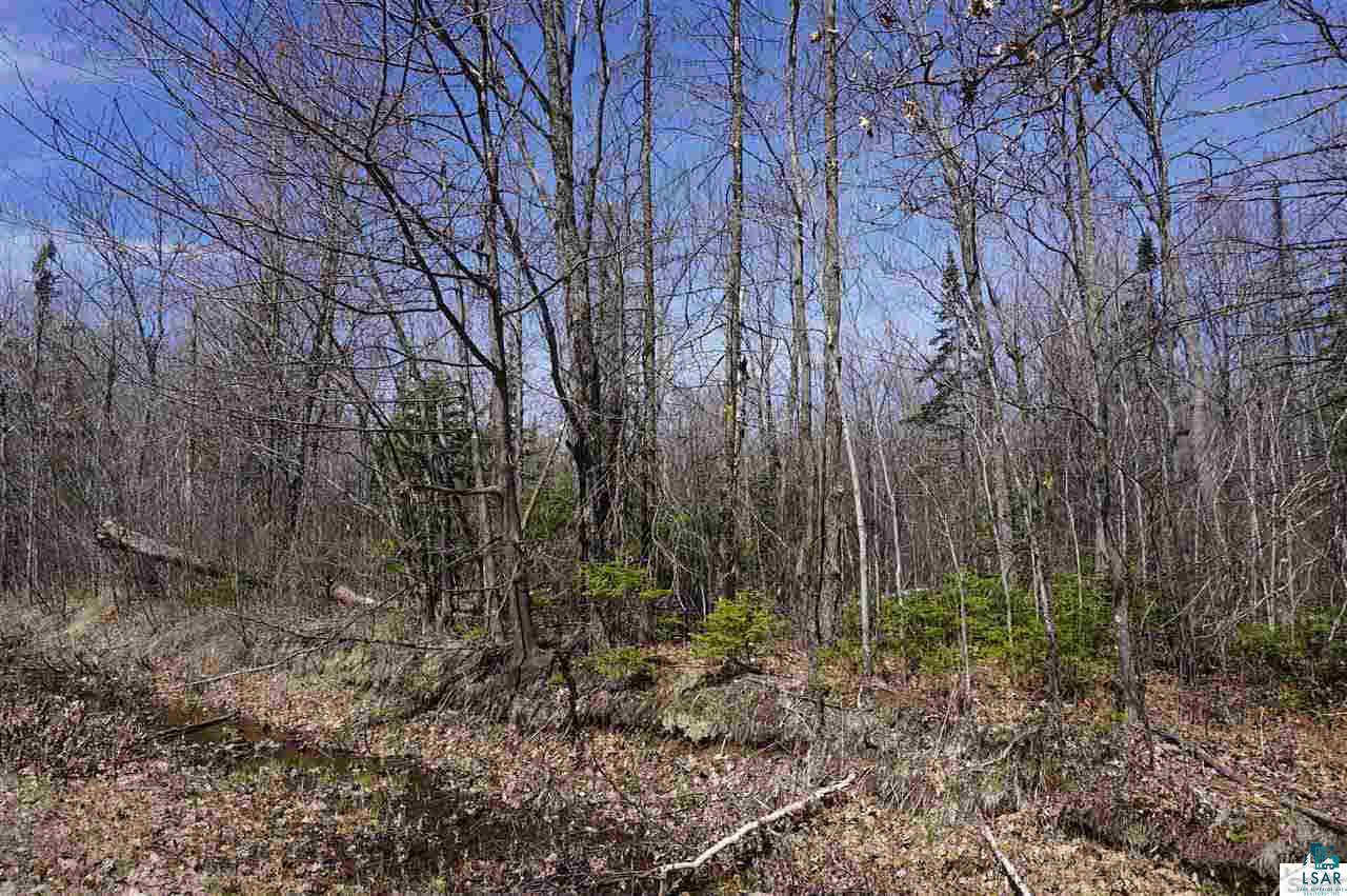 7029 Bayfield Road South Range, WI 54874 - Photo 8 of 25