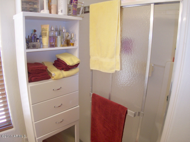 3696 South Martingale Road Gilbert, AZ 85297 - Photo 25 of 36 SECOND MASTER BATH