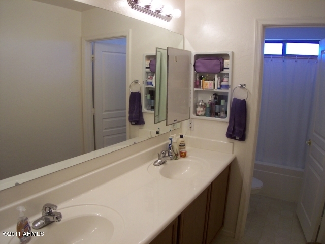 3696 South Martingale Road Gilbert, AZ 85297 - Photo 29 of 36 BATH 3