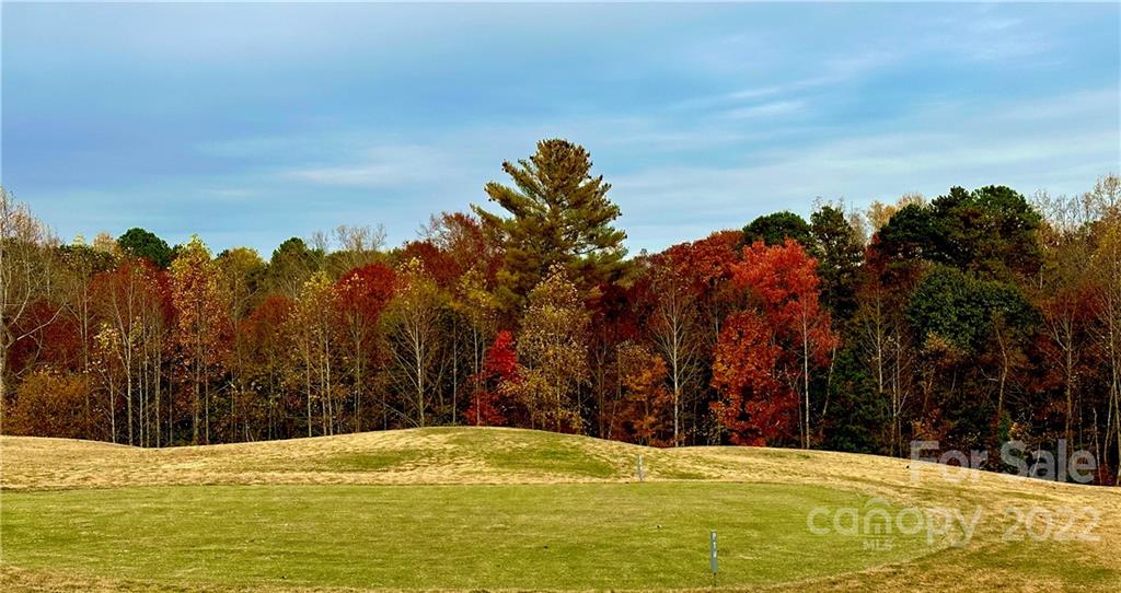 702 Players Ridge Road Hickory, NC 28601 - Photo 41 of 47 Gallery Image 41