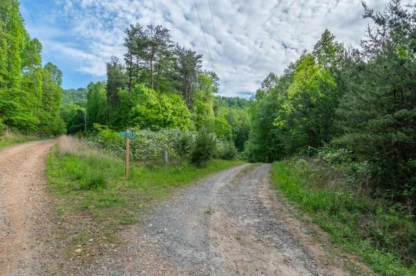 a view of a pathway with a yard