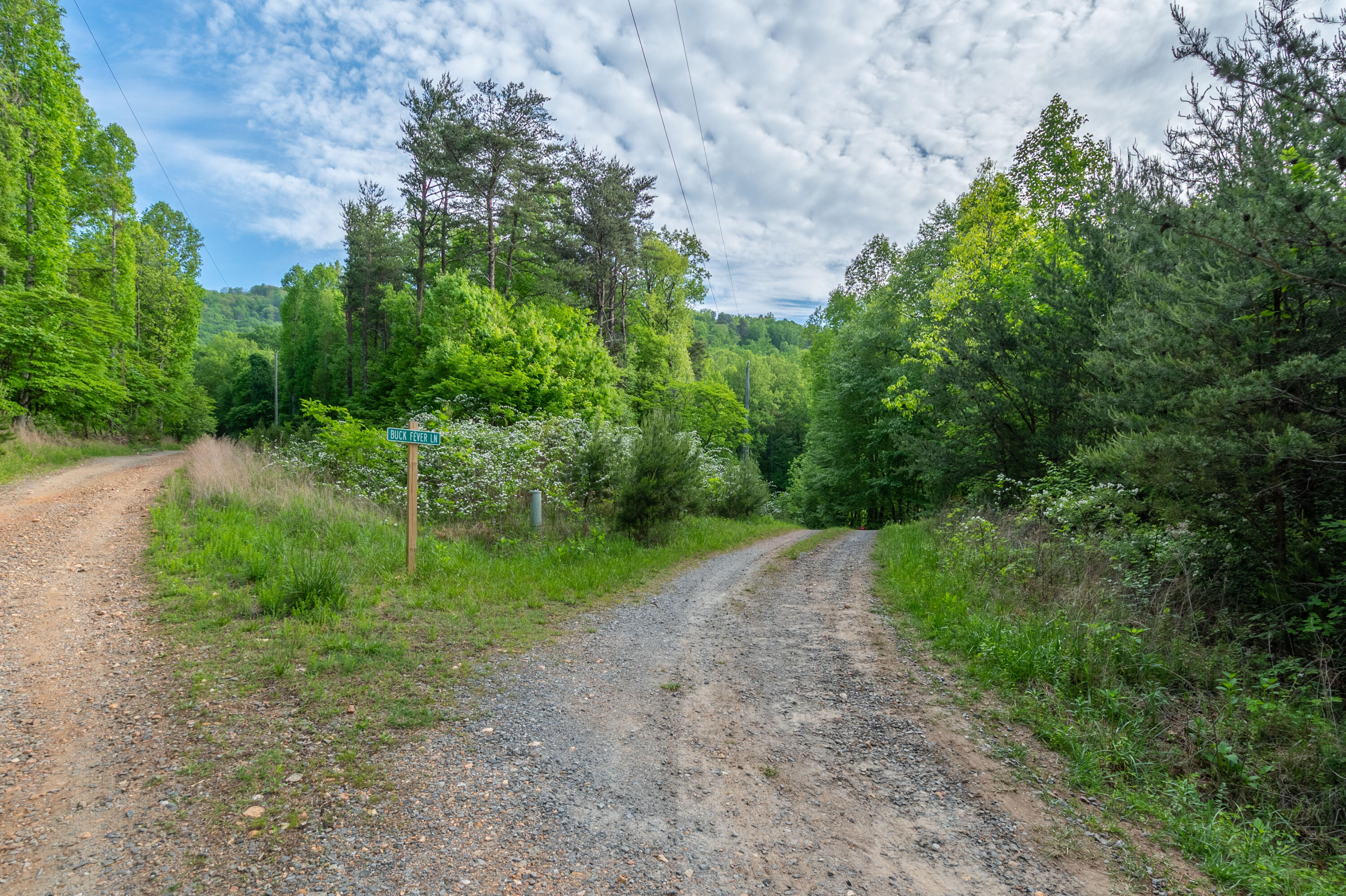 57 Buck Fever Lane Cana, VA 24317 - Photo 43 of 48 a view of a road with plants and a yard