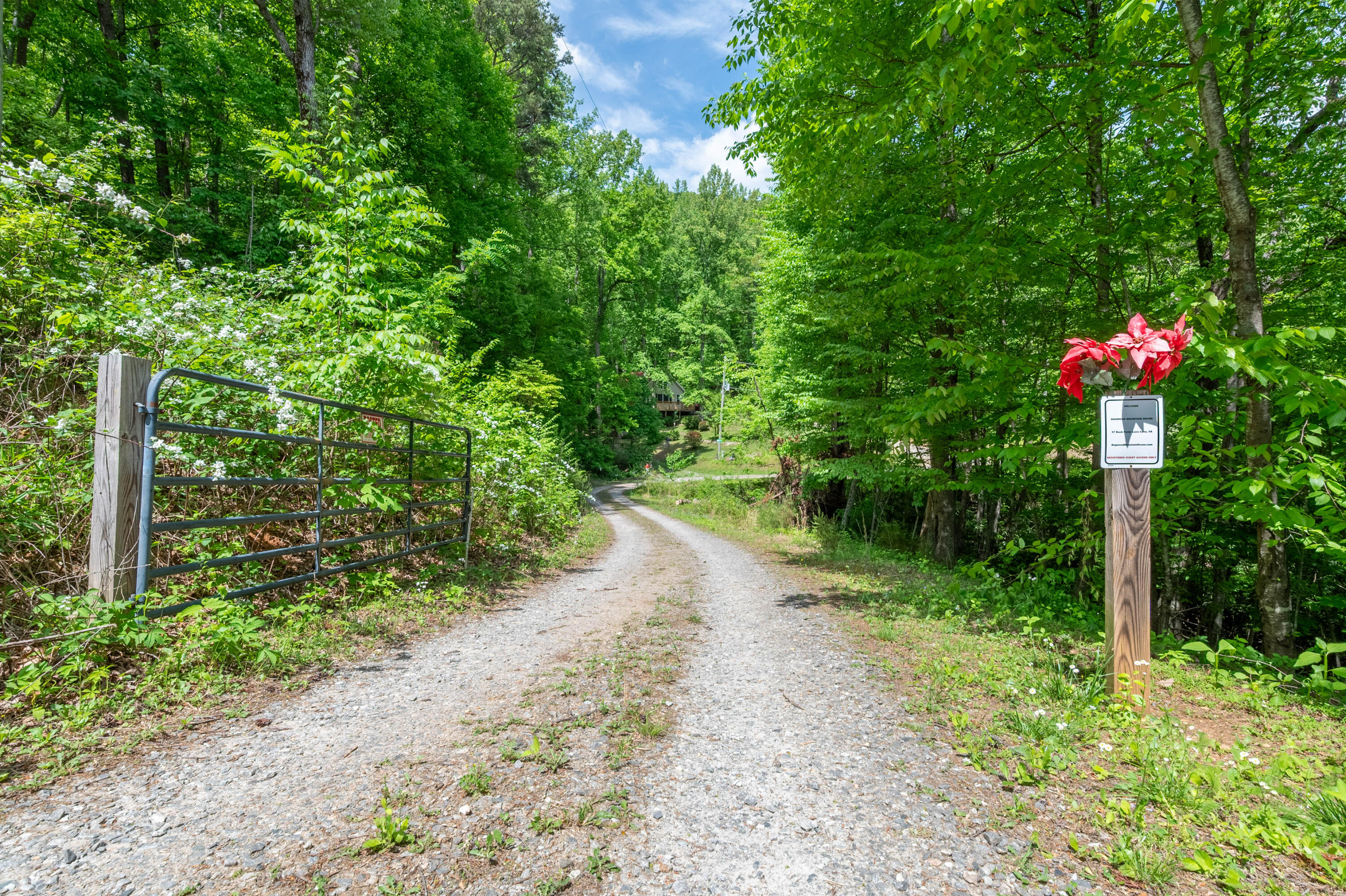 57 Buck Fever Lane Cana, VA 24317 - Photo 44 of 48 a view of a pathway with a yard