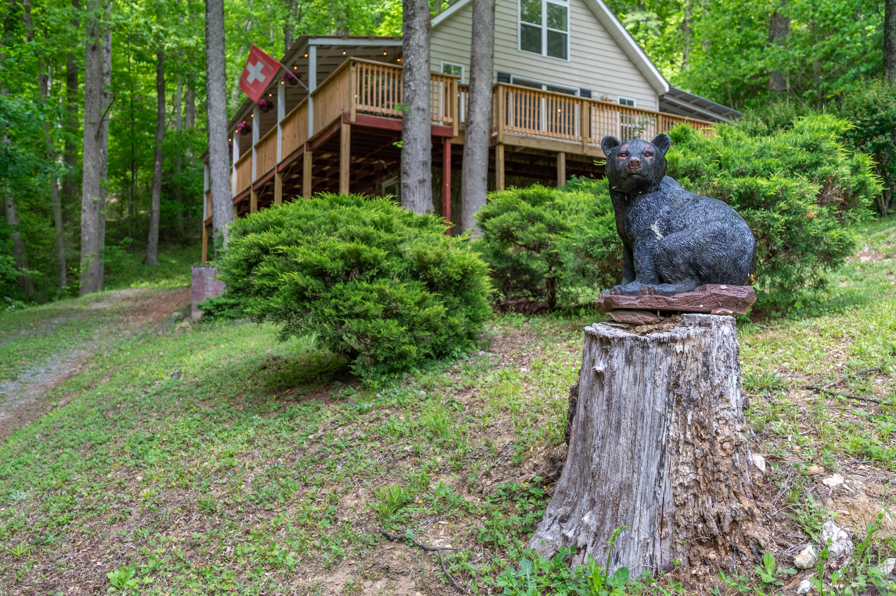 57 Buck Fever Lane Cana, VA 24317 - Photo 45 of 48 a front view of a house with a garden and plants