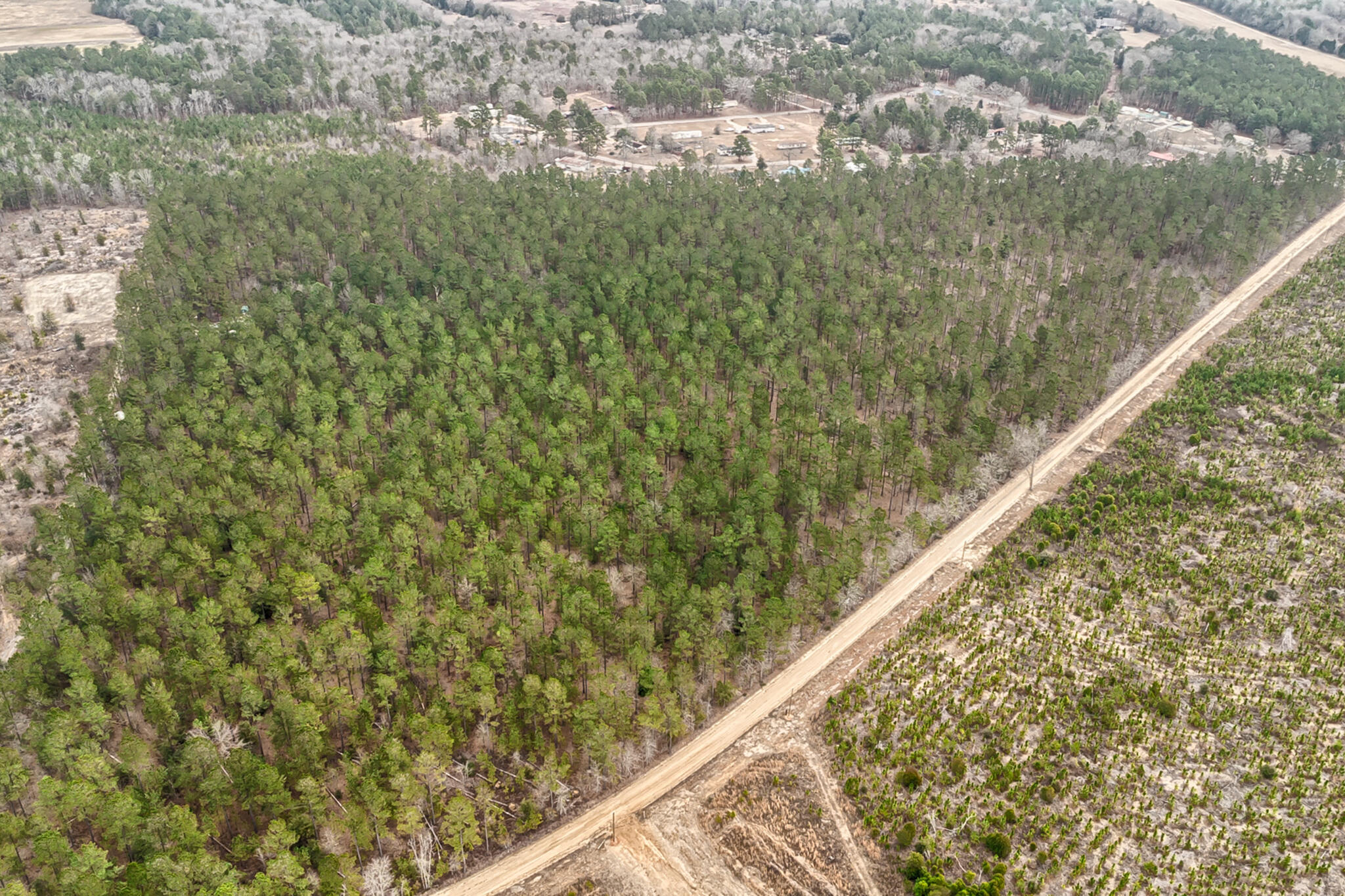 0 Otis Baughman Sr Road Wagener, SC 29164 - Photo 5 of 11
