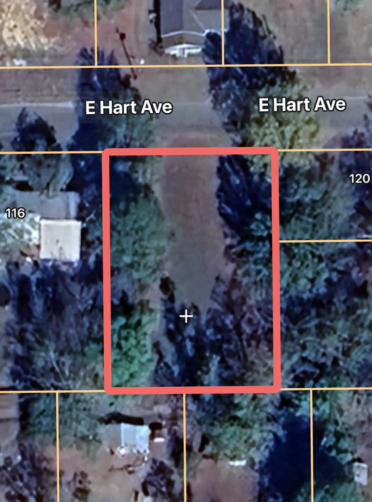 0 Hart Street Geneva, AL 36340 - Photo 5 of 5