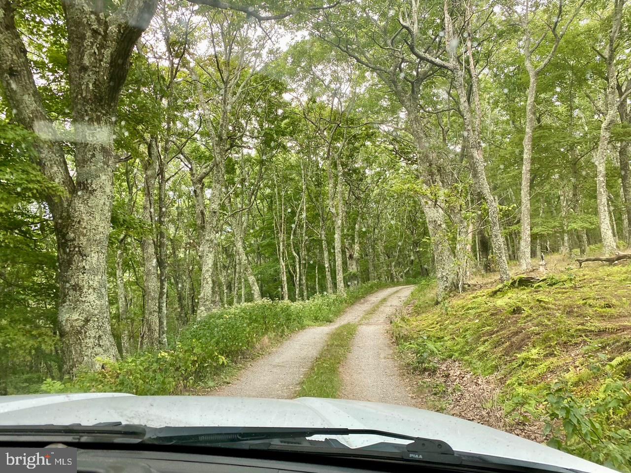 829 Kile Knob Road Franklin, WV 26807 - Photo 28 of 31