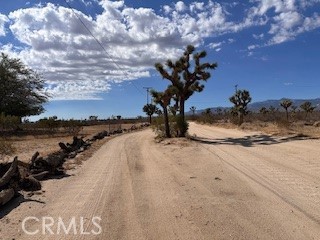 6450 Maricopa Road Phelan, CA 92371 - Photo 15 of 16 a view of a yard next to a lake