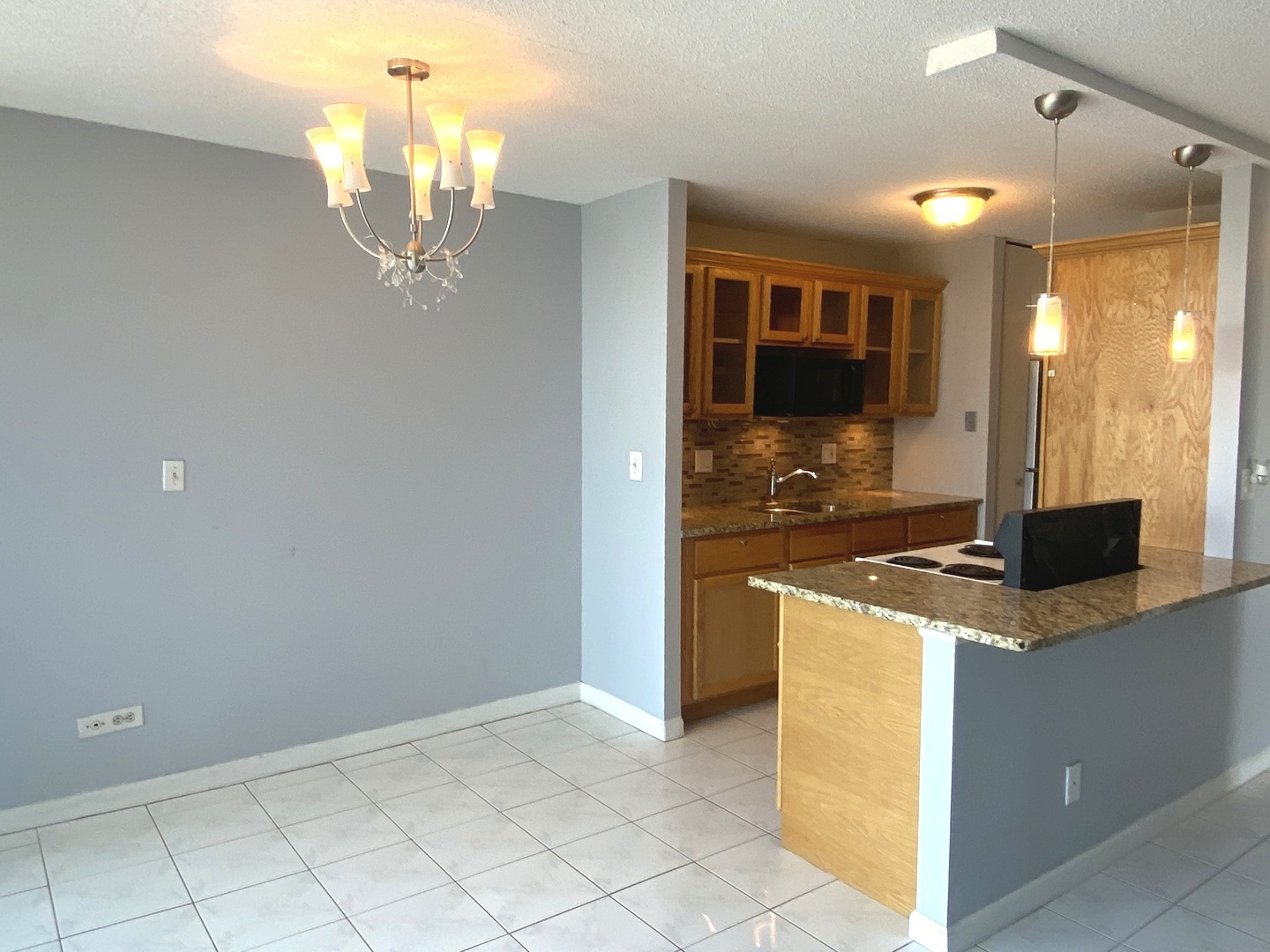 1043 South York Road, Unit 411 Bensenville, IL 60106 - Photo 7 of 18