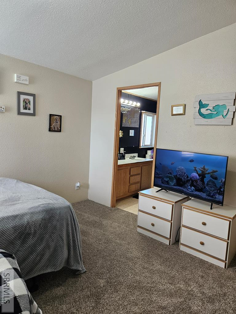 3784 East 800 North Rigby, ID 83442 - Photo 5 of 22