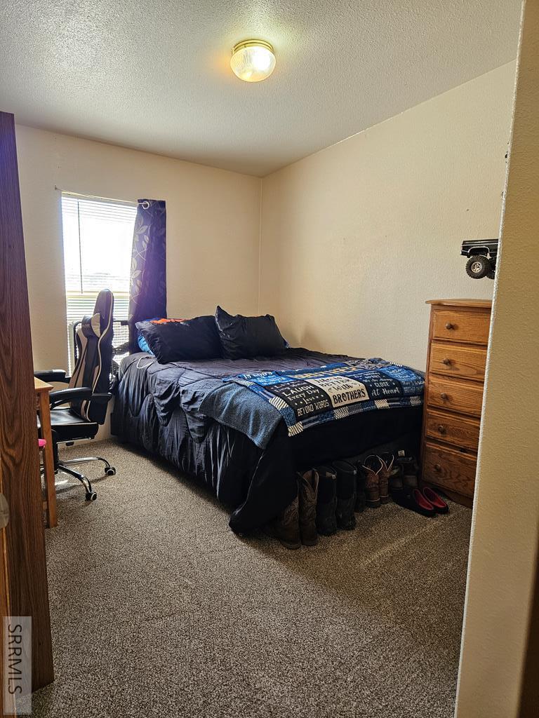 3784 East 800 North Rigby, ID 83442 - Photo 8 of 22