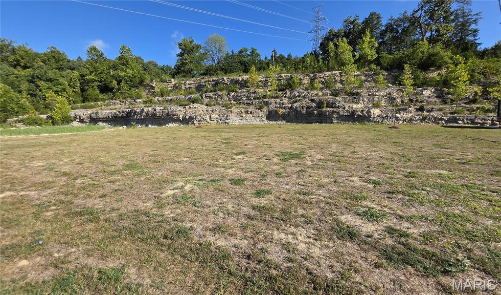 3279 Echo Lake Drive Byrnes Mill, MO 63025 - Photo 3 of 10