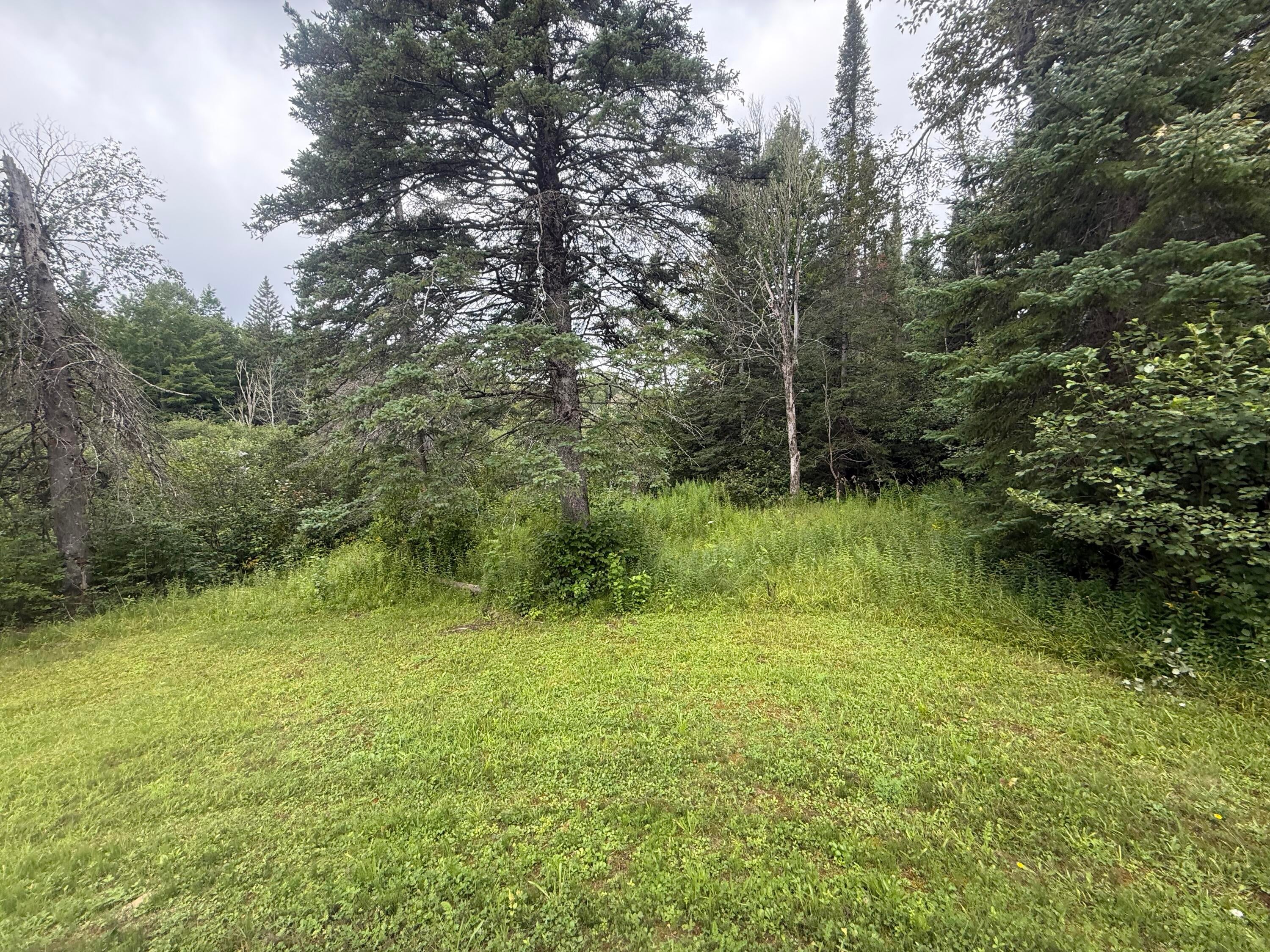 6906 South North Hulbert Road Hulbert, MI 49748 - Photo 12 of 40 Gallery Image 12