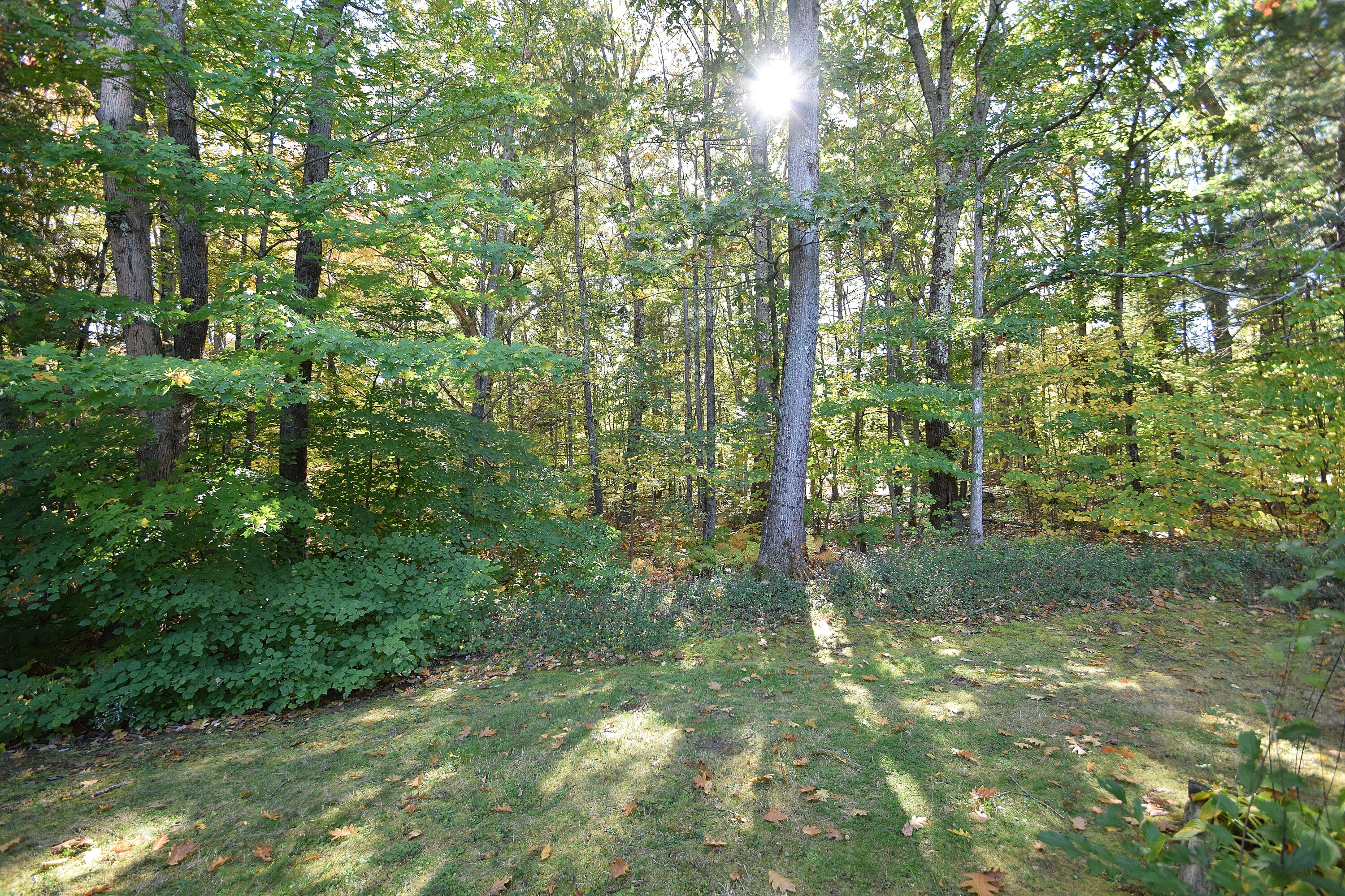 29 Old Orchard Road, Unit 5 Saco, ME 04072 - Photo 38 of 41 DSC_0136