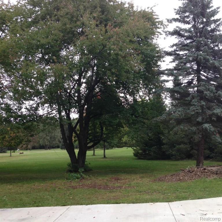 16247 Bak Road Belleville, MI 48111 - Photo 8 of 20