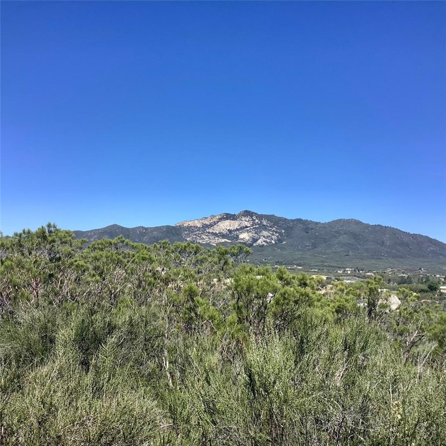 0 Pony Trail Road Anza, CA 92539 - Photo 1 of 14 a view of a mountain range with lush green forest