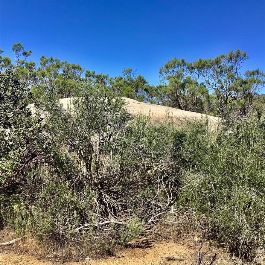 0 Pony Trail Road Anza, CA 92539 - Photo 11 of 14 a view of a large yard with lots of bushes
