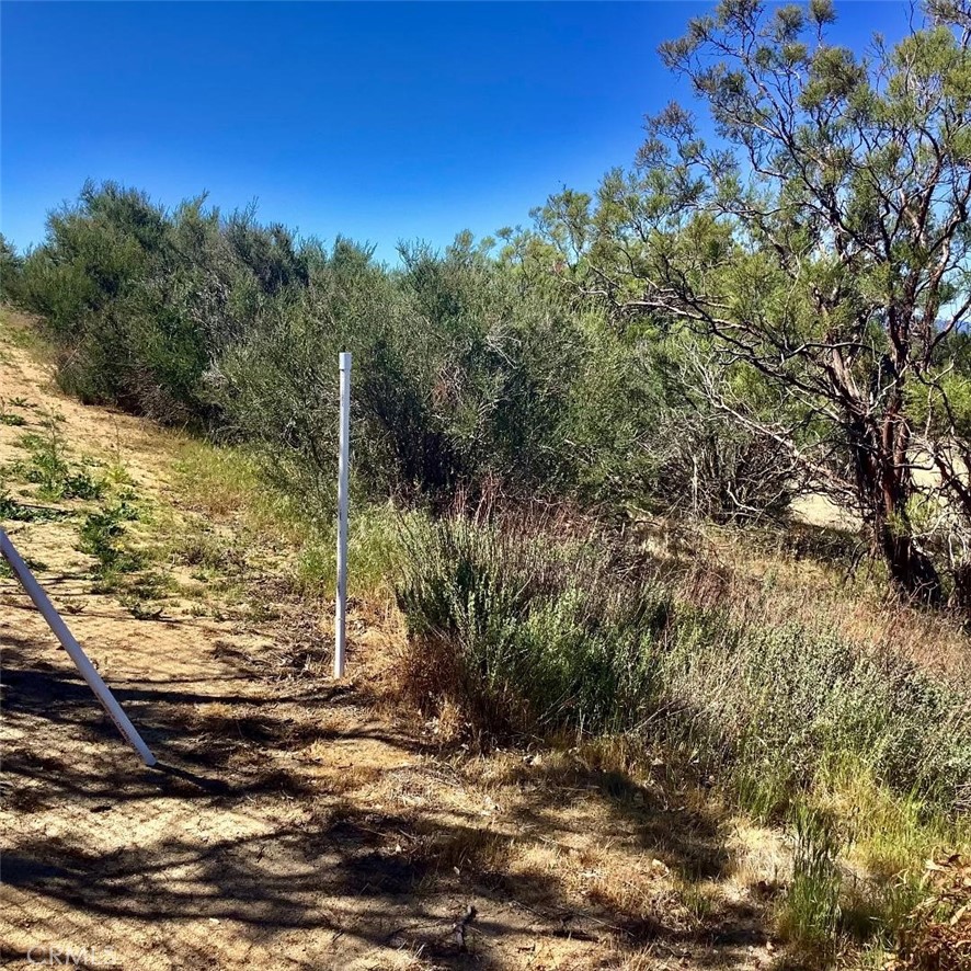 0 Pony Trail Road Anza, CA 92539 - Photo 2 of 14 a view of a yard with a tree