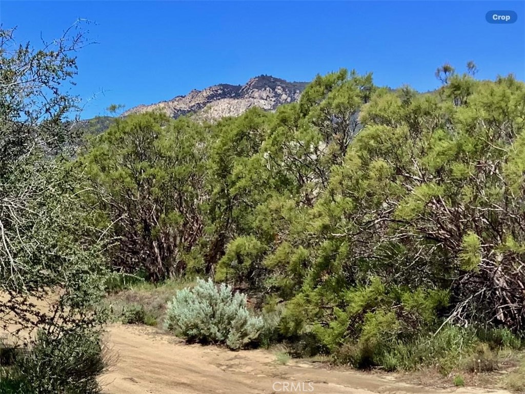 0 Pony Trail Road Anza, CA 92539 - Photo 6 of 14 a view of a large building with a mountain in the background