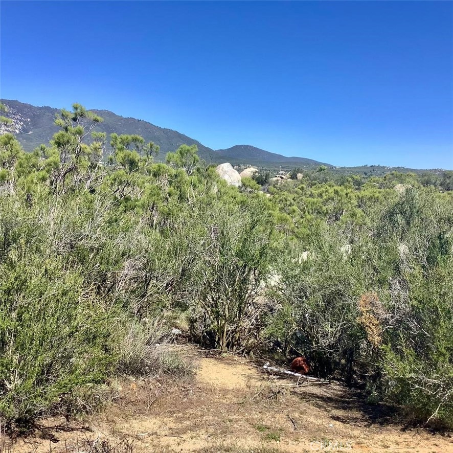 0 Pony Trail Road Anza, CA 92539 - Photo 7 of 14 a view of a large window with an outdoor space
