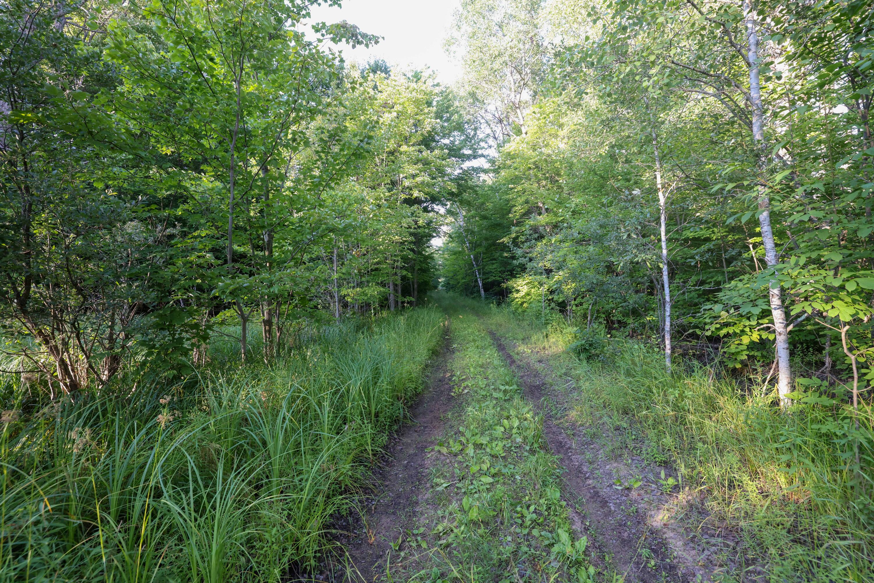 0 Ford Lake Road Germfask, MI 49836 - Photo 27 of 49 Gallery Image 27