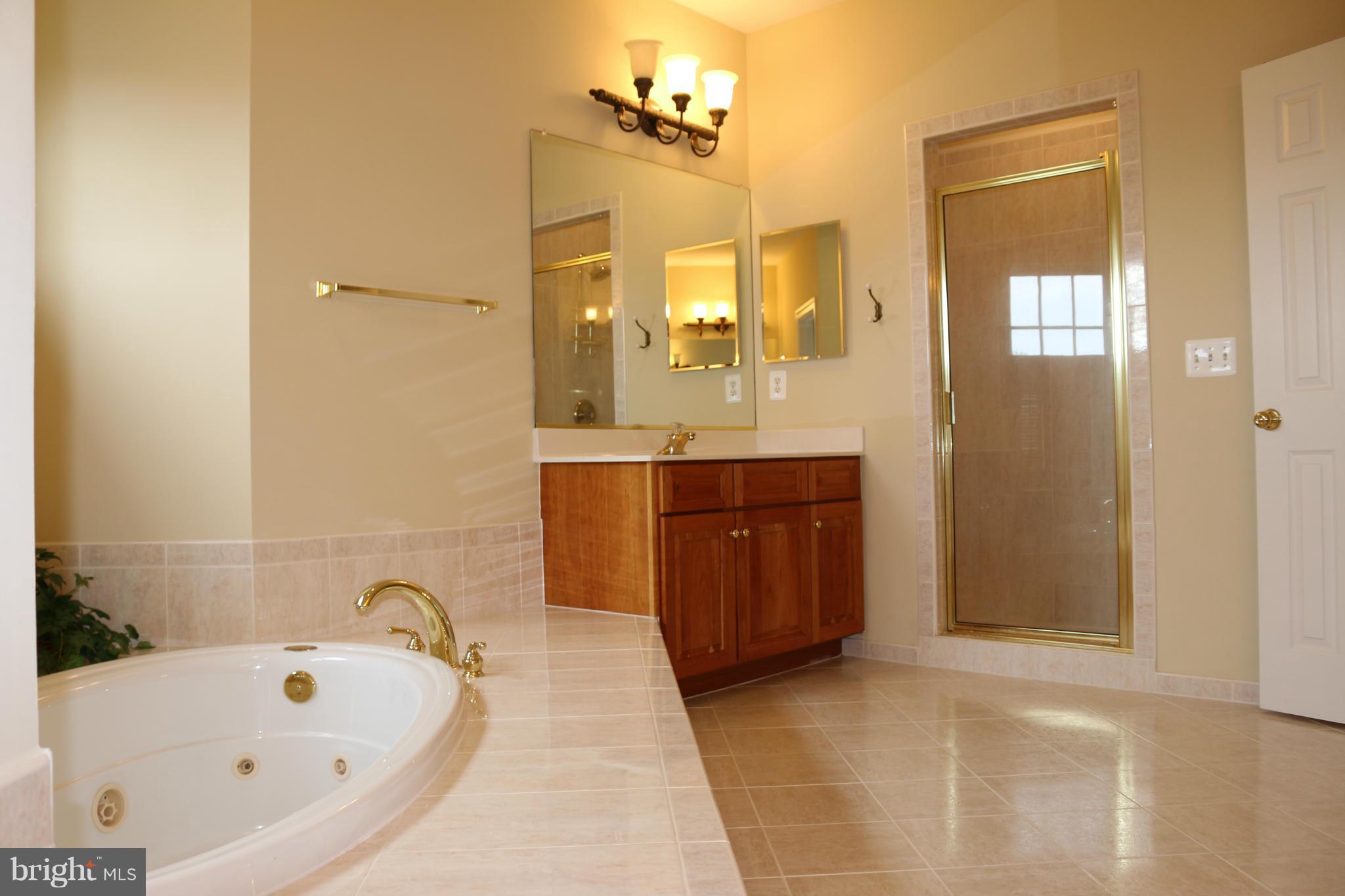 8267 Roxborough Loop Gainesville, VA 20155 - Photo 20 of 30 Bath (Master)