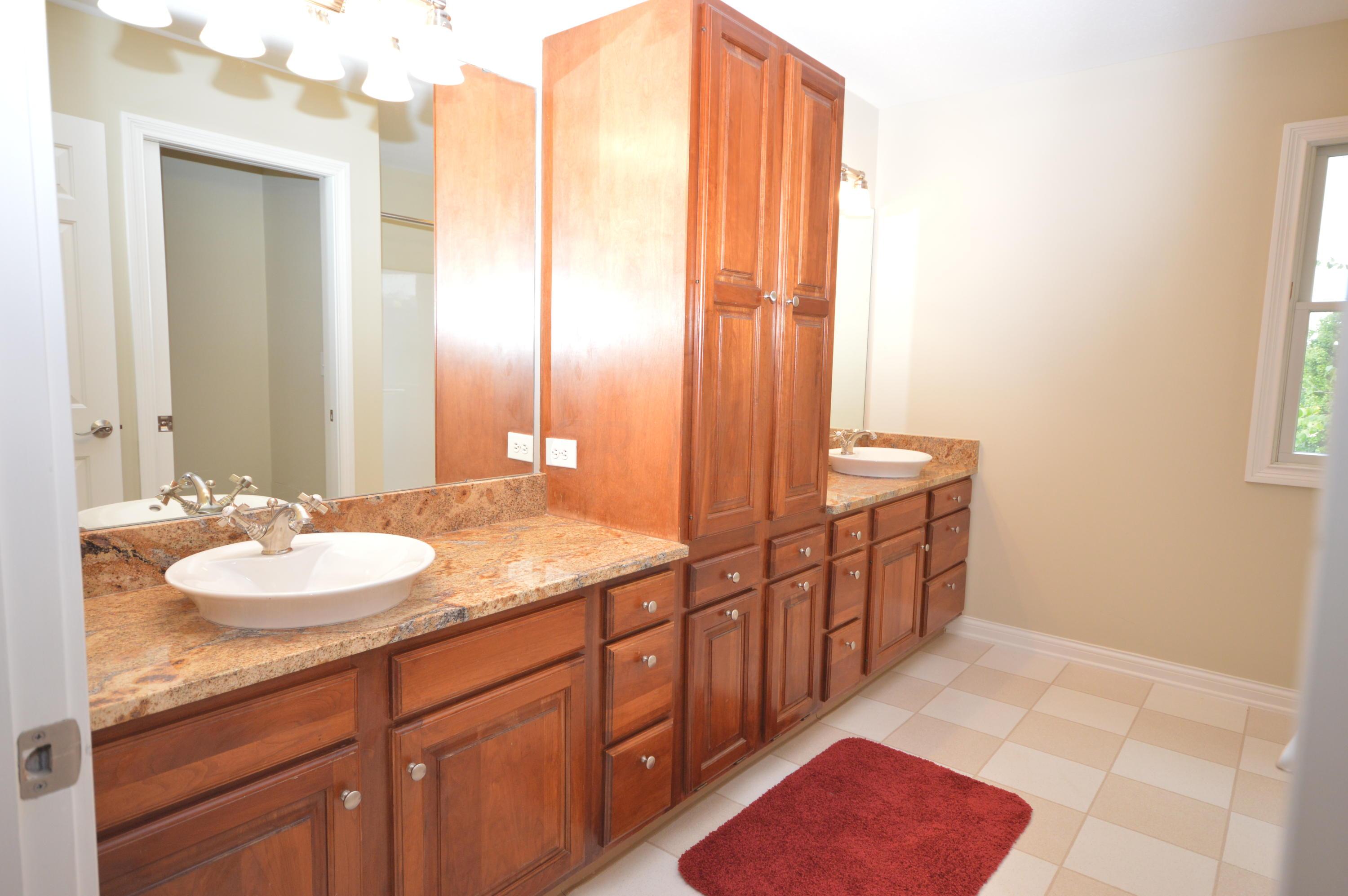 307 Bluff Ridge Court Powell, OH 43065 - Photo 23 of 44