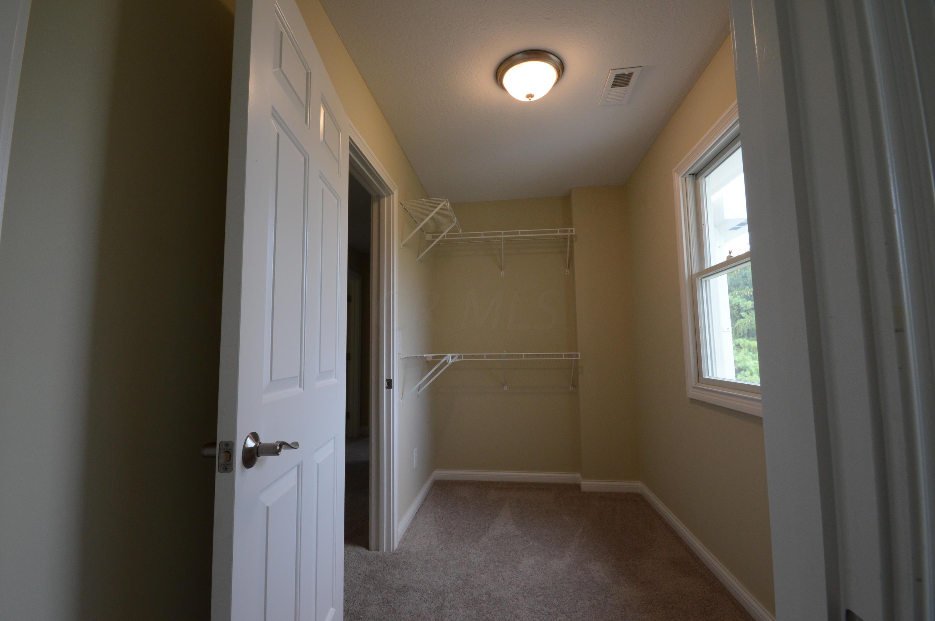307 Bluff Ridge Court Powell, OH 43065 - Photo 28 of 44