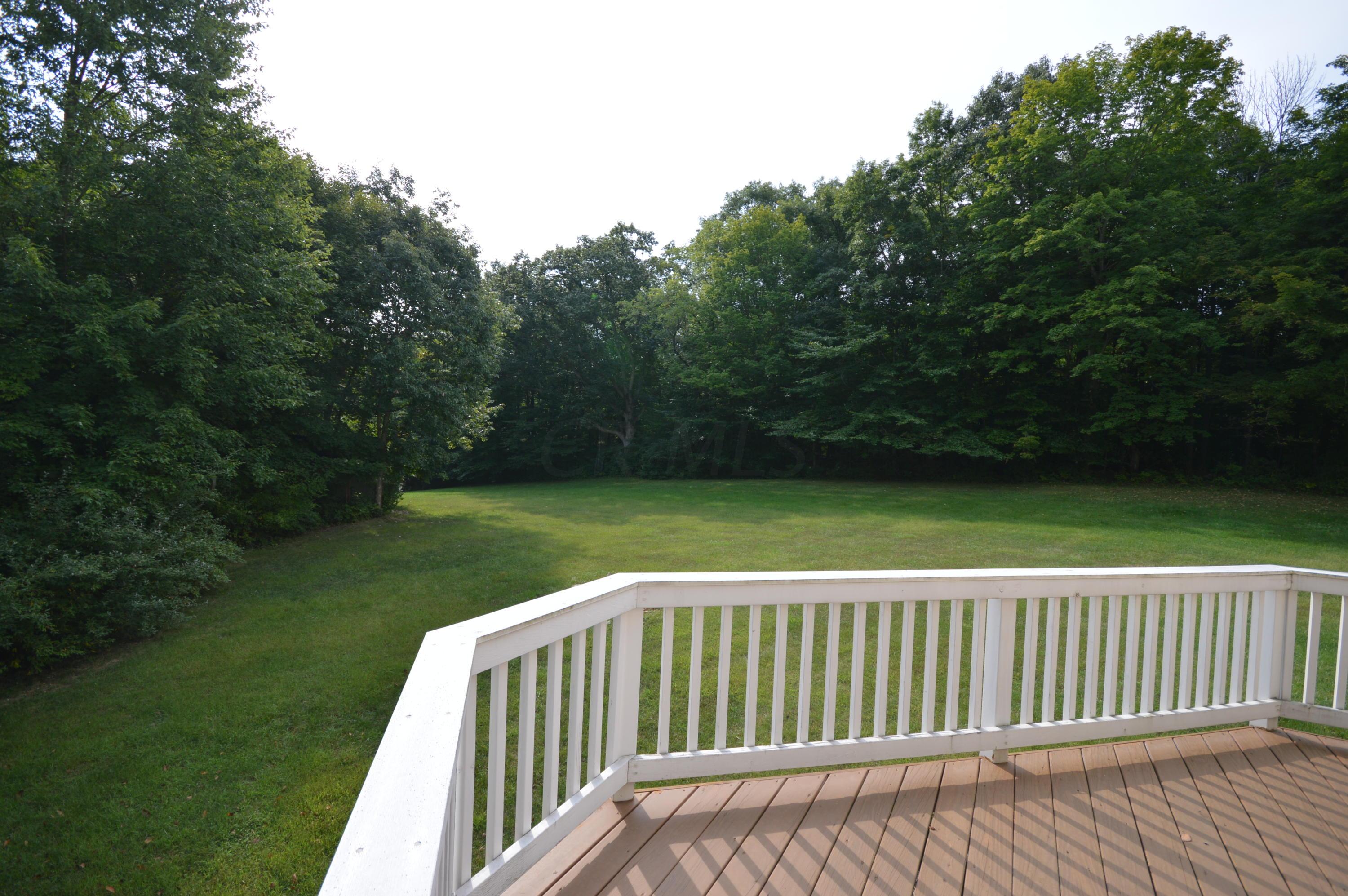 307 Bluff Ridge Court Powell, OH 43065 - Photo 41 of 44