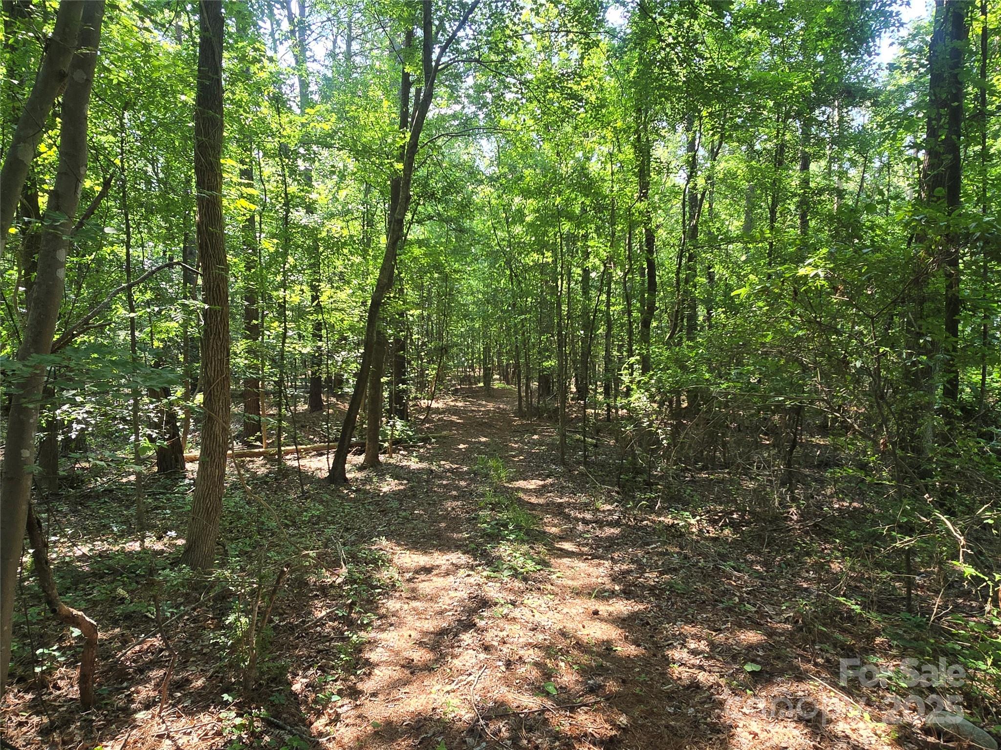 a view of outdoor space and trees