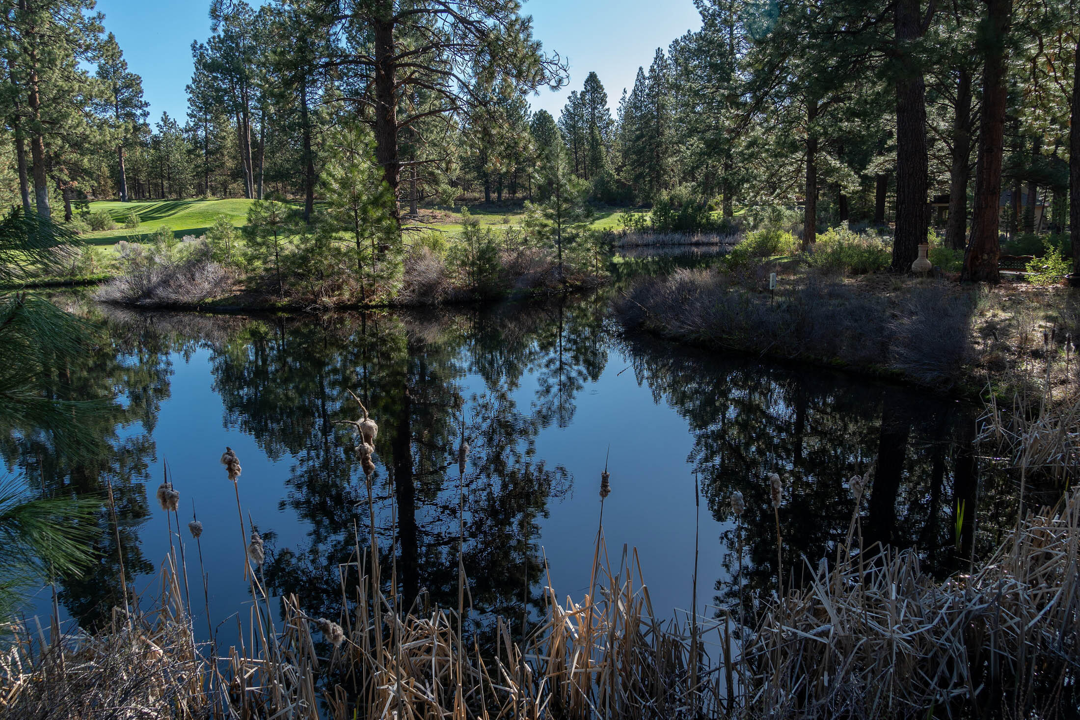 60711 Golf Village Loop Bend, OR 97702 - Photo 10 of 31 View from the back of lot toward the 6th hole tee boxes