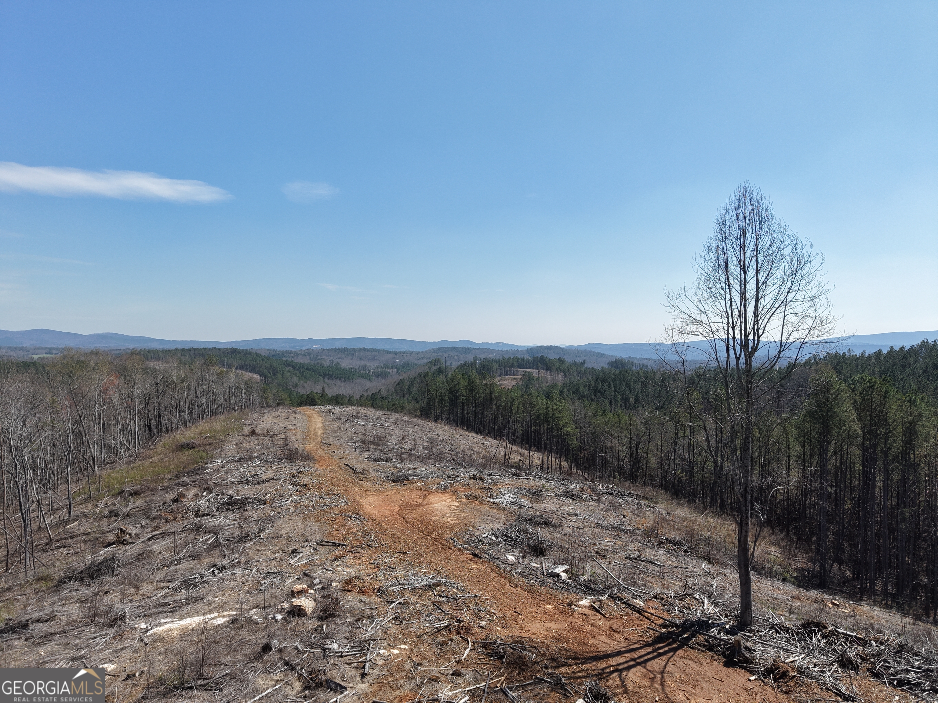 0 Angel Road, Unit 7206 PARCEL D Fairmount, GA 30139 - Photo 14 of 42