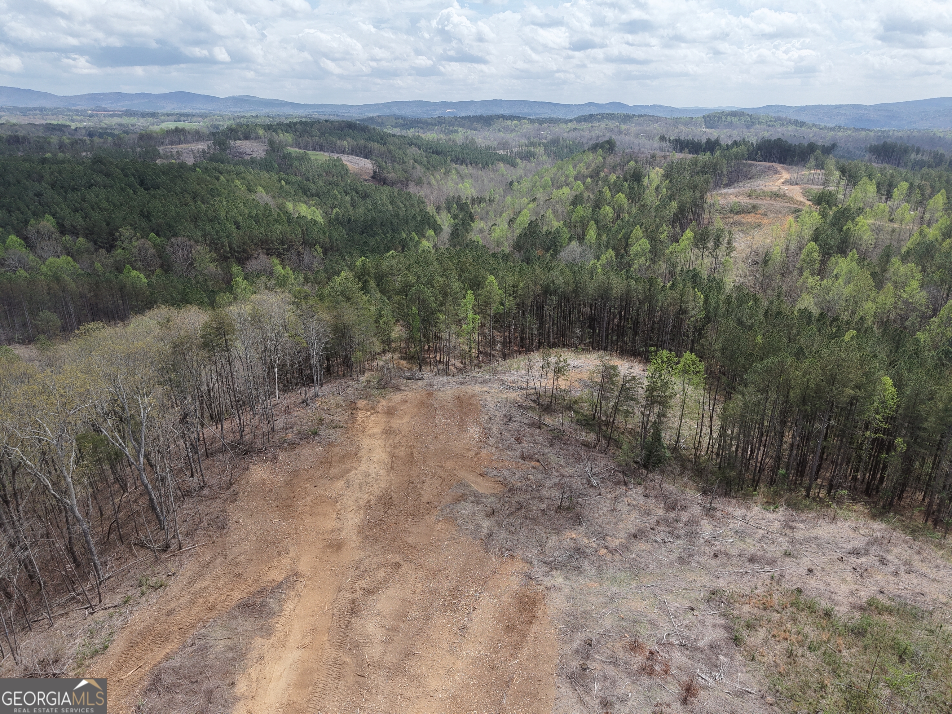 0 Angel Road, Unit 7206 PARCEL D Fairmount, GA 30139 - Photo 25 of 42 a view of a forest with trees in the background