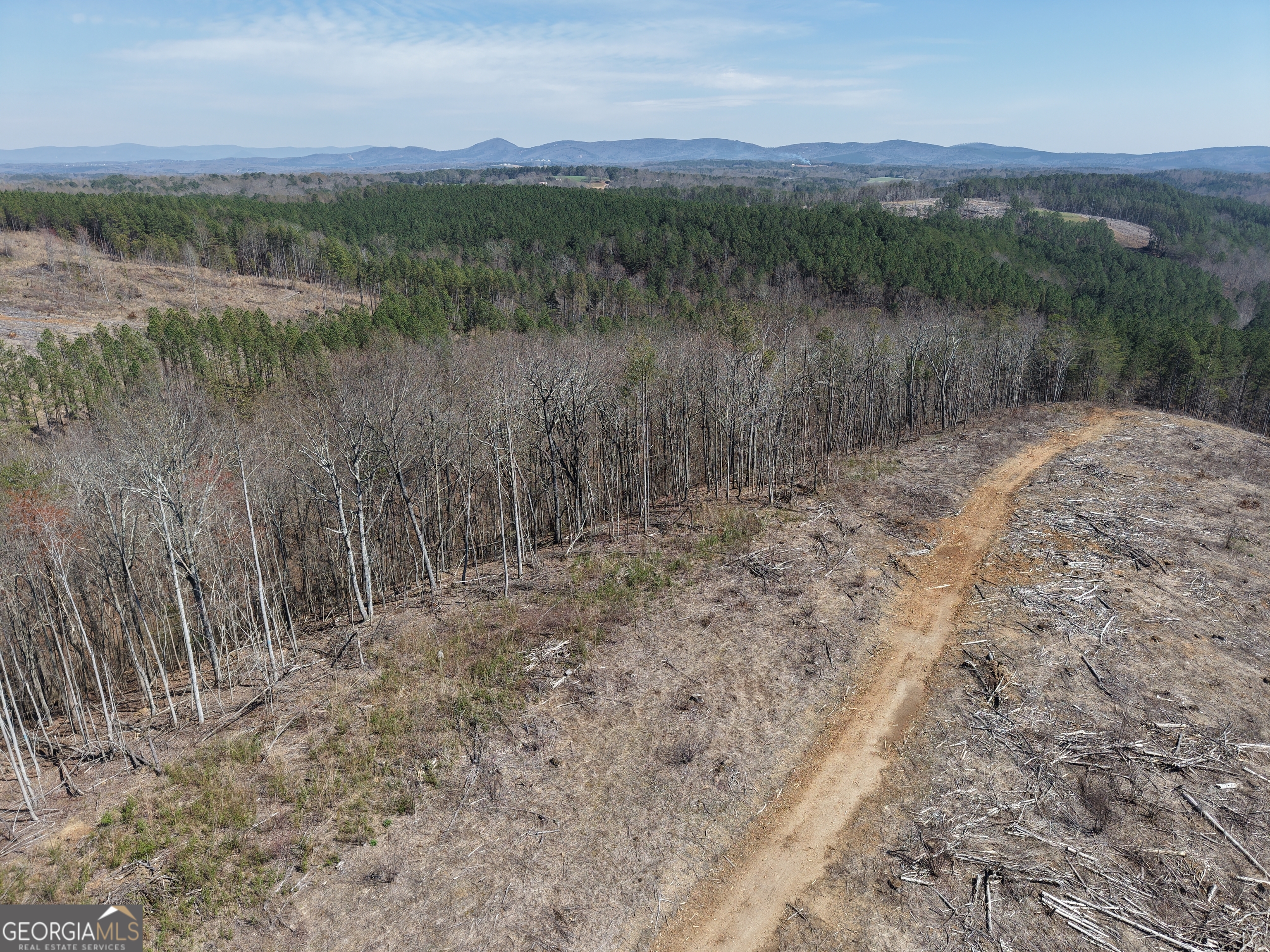 0 Angel Road, Unit 7206 PARCEL D Fairmount, GA 30139 - Photo 33 of 42