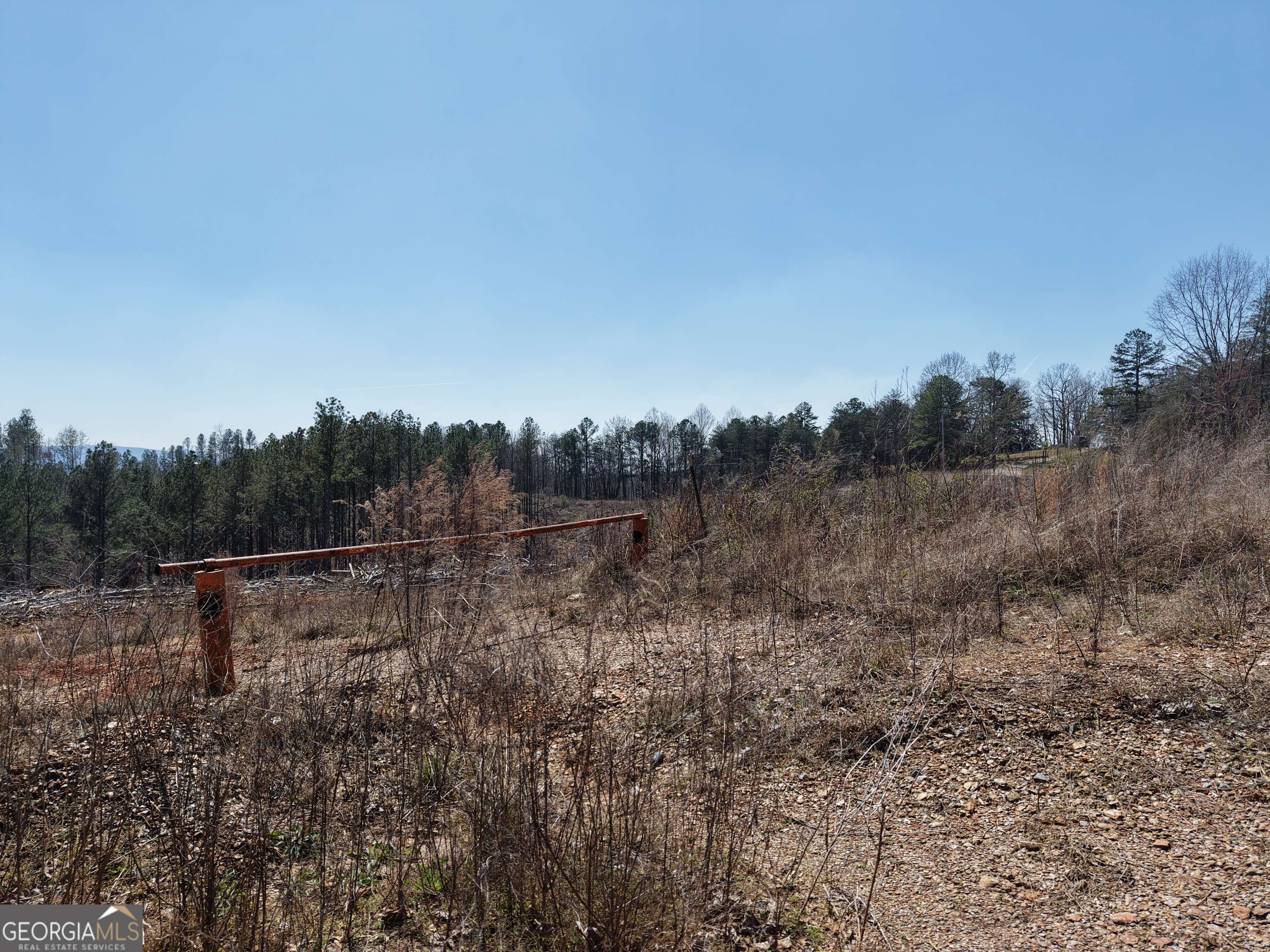 0 Angel Road, Unit 7206 PARCEL D Fairmount, GA 30139 - Photo 4 of 42 a view of a field with trees in background