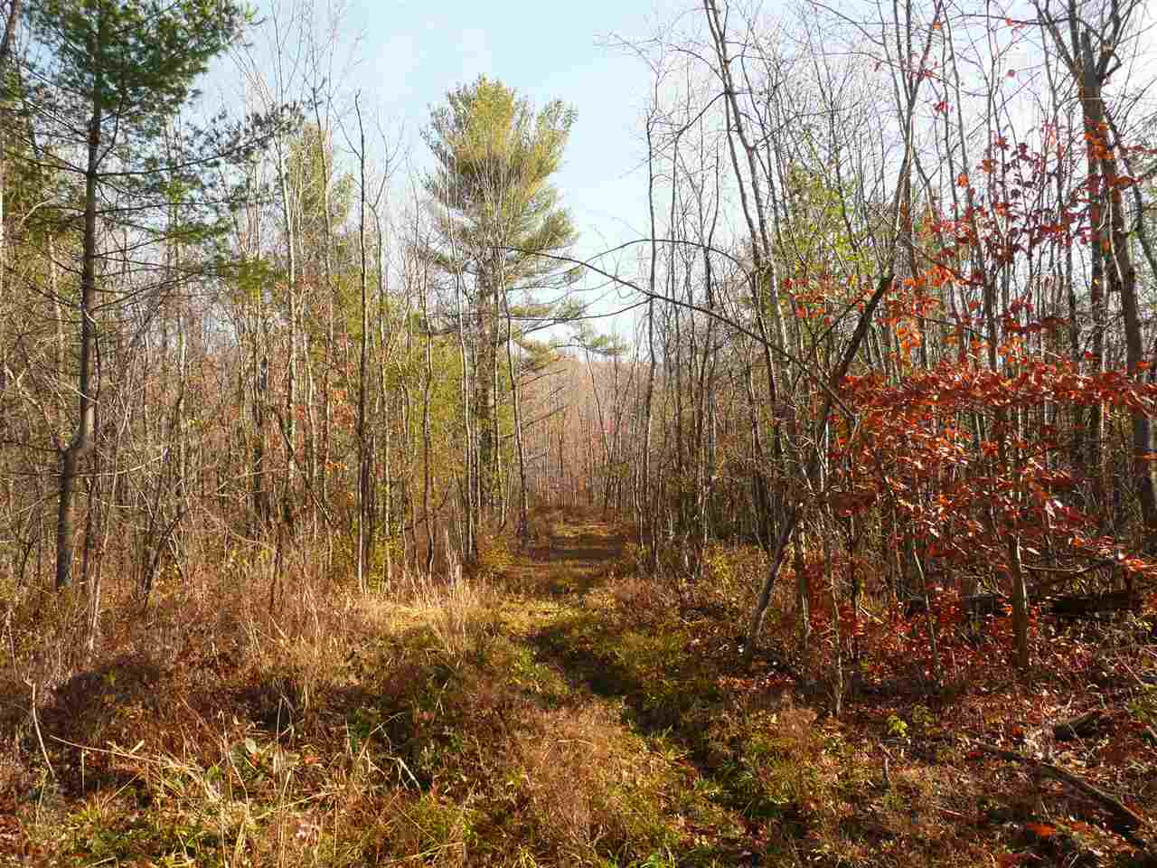 0 Robinson Road Ferrisburgh, VT 05456 - Photo 5 of 5 Gallery Image 5