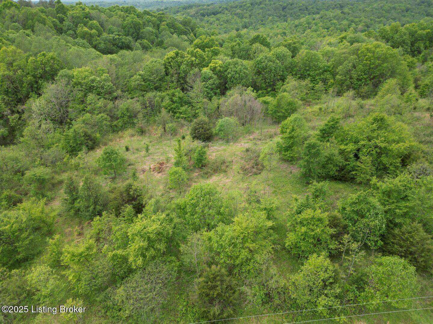 Lot 14 Duvall Road Caneyville, KY 42721 - Photo 8 of 8 L14-6