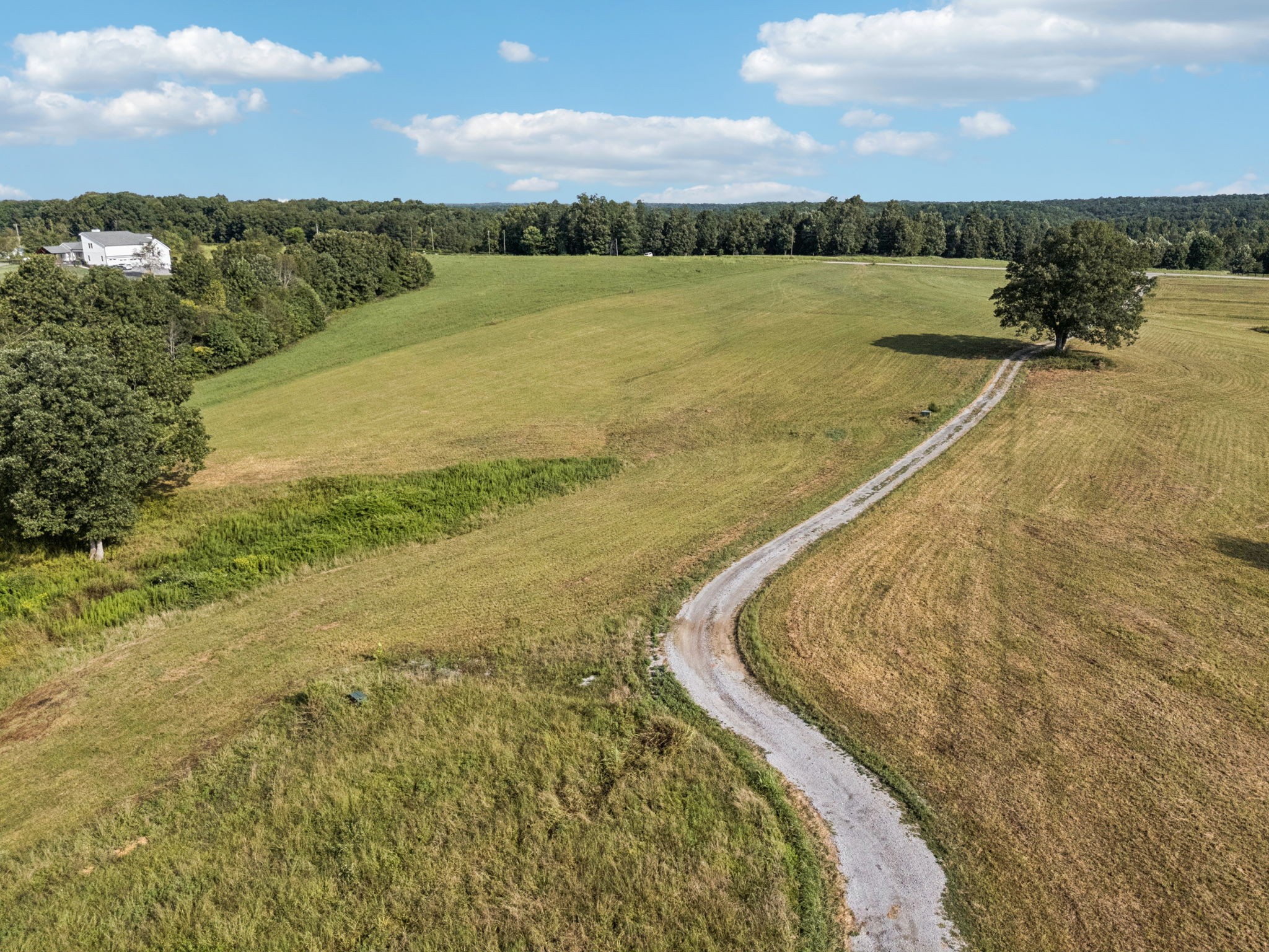 0 West Lick Creek Road Primm Springs, TN 38476 - Photo 26 of 59