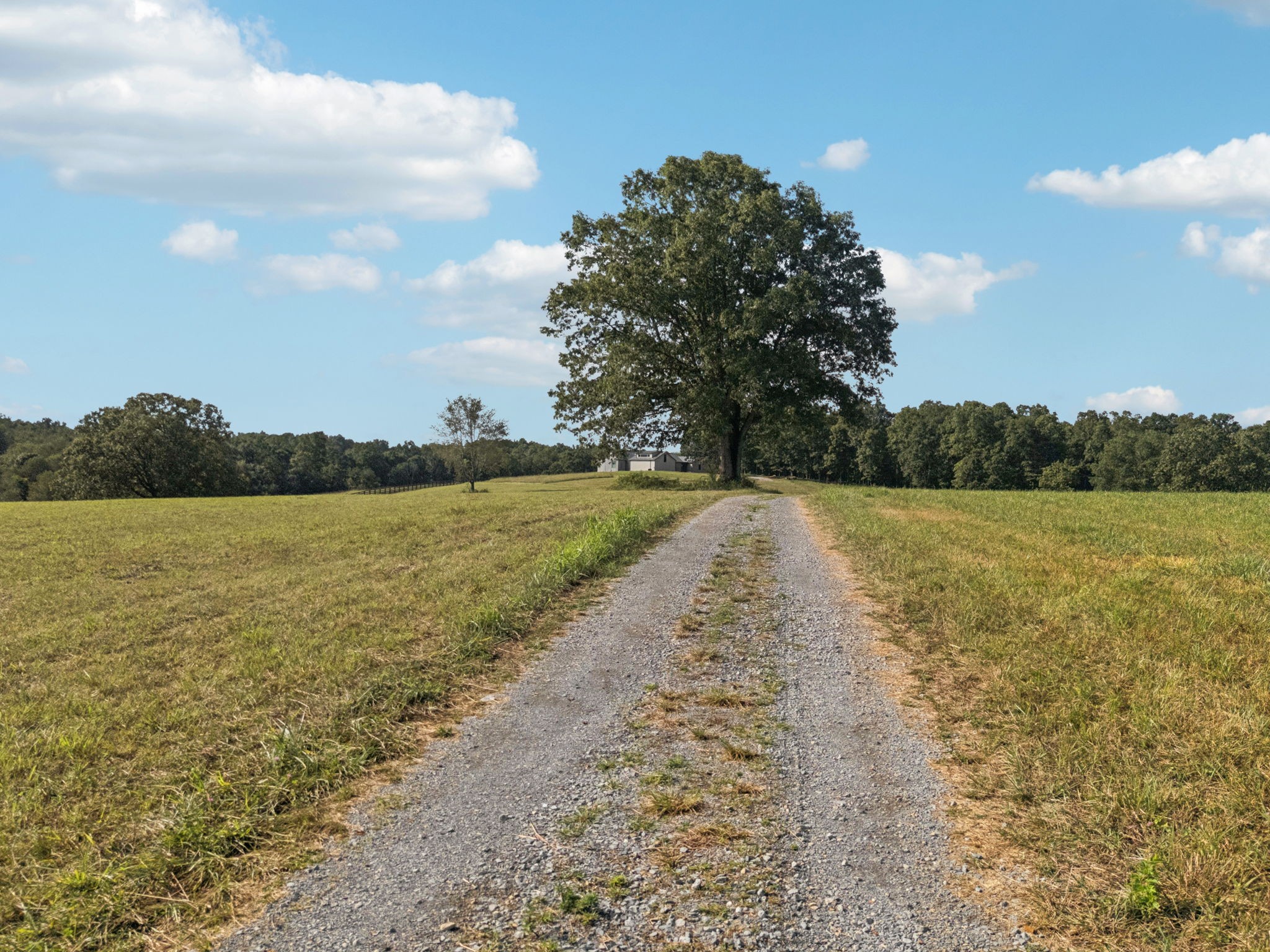 0 West Lick Creek Road Primm Springs, TN 38476 - Photo 39 of 59 a view of a lake with a big yard