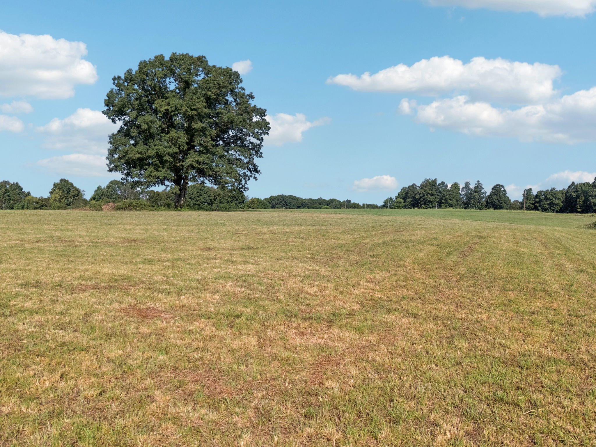 0 West Lick Creek Road Primm Springs, TN 38476 - Photo 41 of 59 a view of an ocean