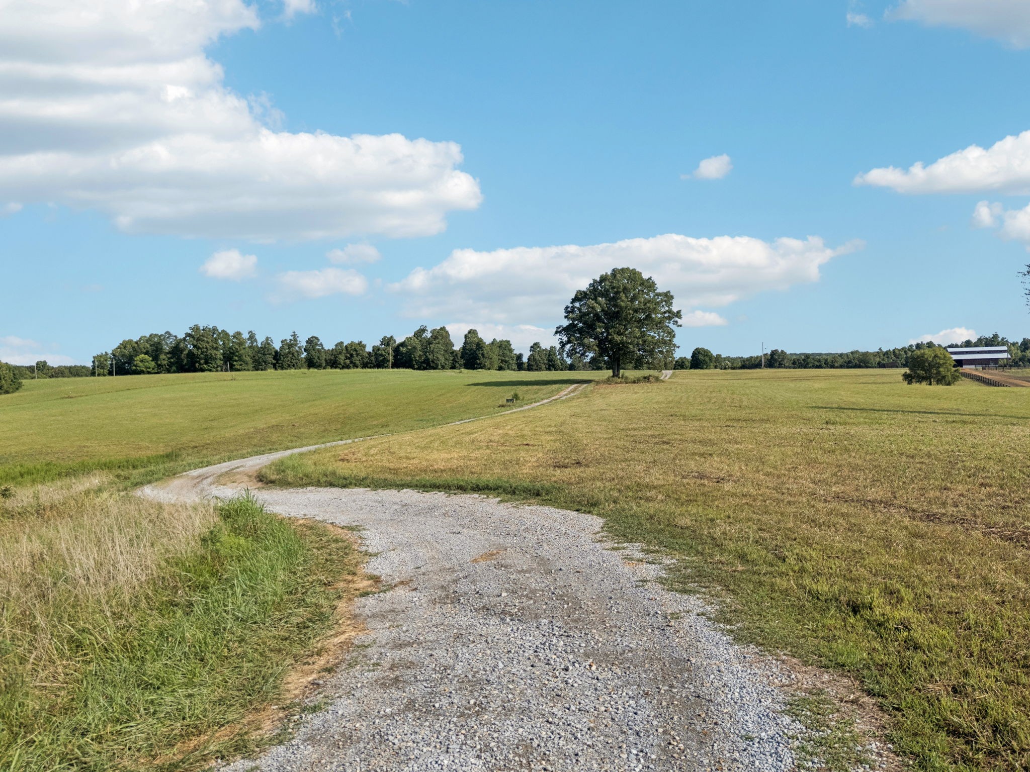 0 West Lick Creek Road Primm Springs, TN 38476 - Photo 44 of 59 a view of an ocean and beach