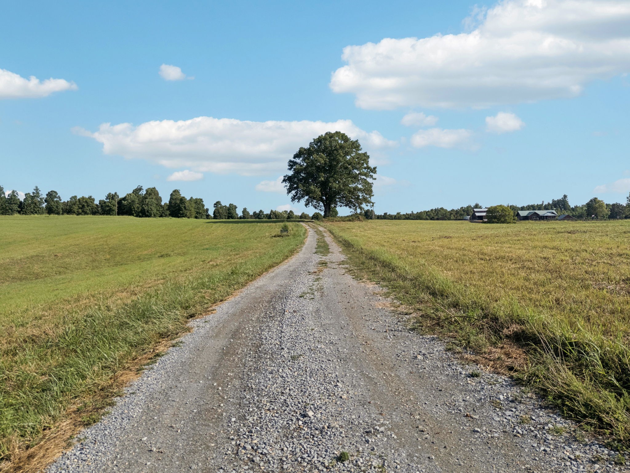 0 West Lick Creek Road Primm Springs, TN 38476 - Photo 45 of 59 a view of an ocean and beach